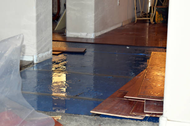 Professional Burst Pipe Cleanup technician working in Adkins, TX